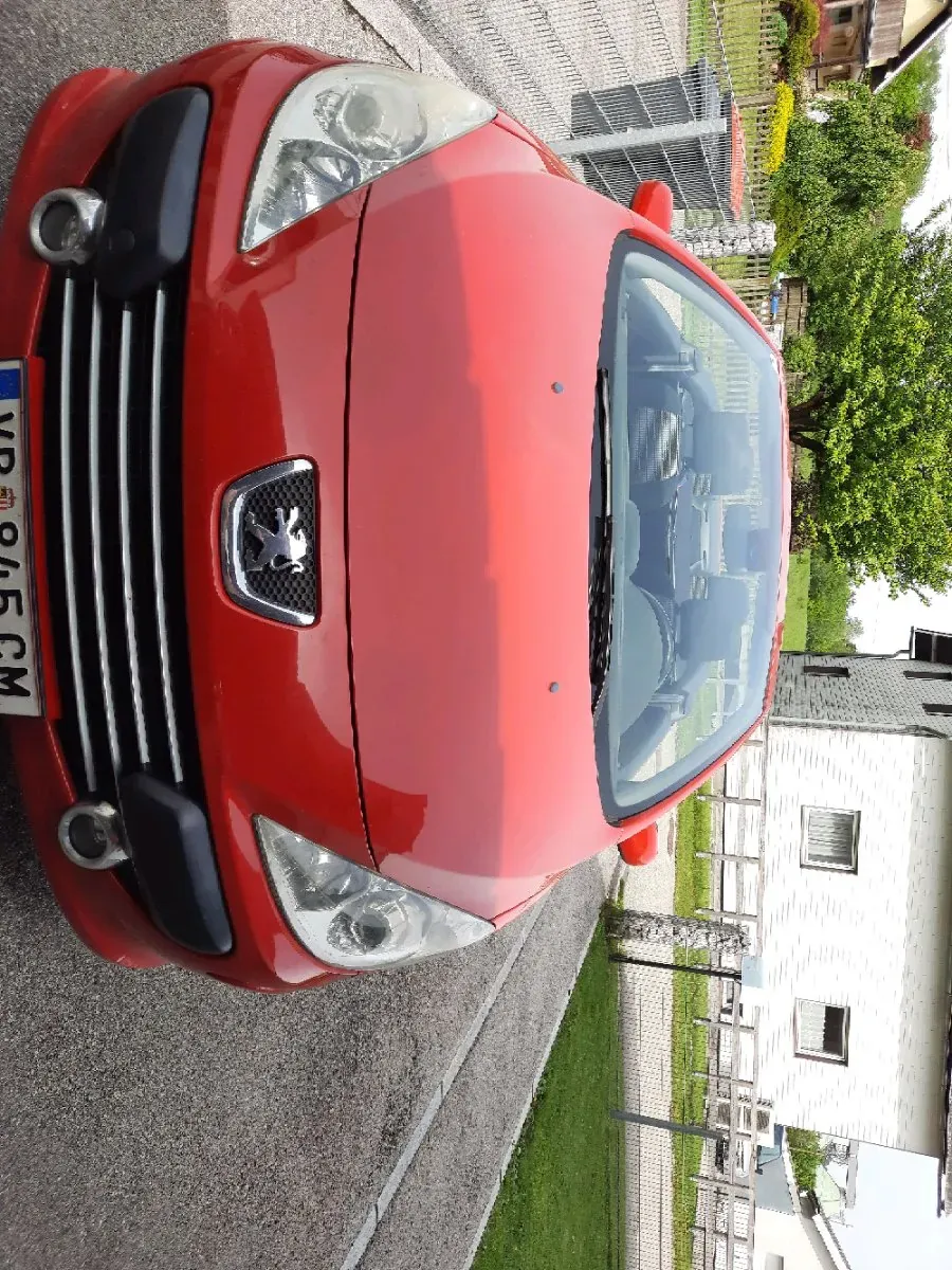 Peugeot 307 2007 photo 2