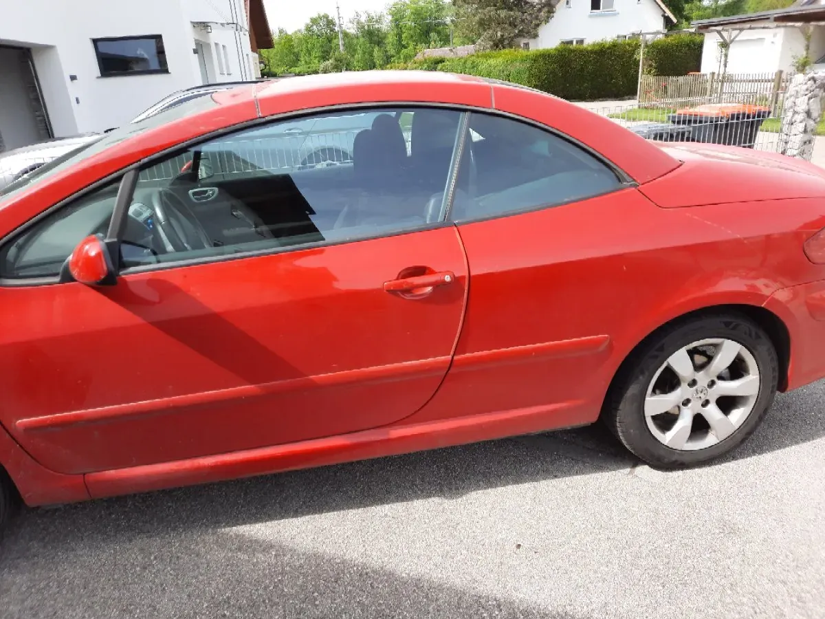 Peugeot 307 2007 photo 3
