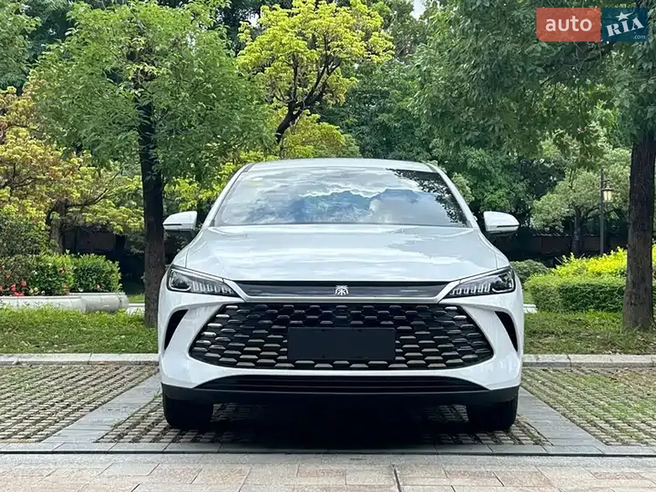 BYD Qin Plus 2026 photo 2