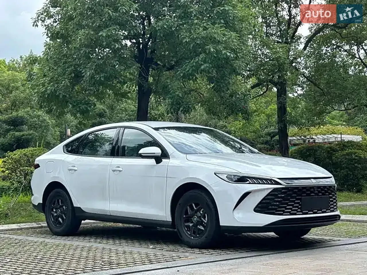 BYD Qin Plus 2026 photo 3
