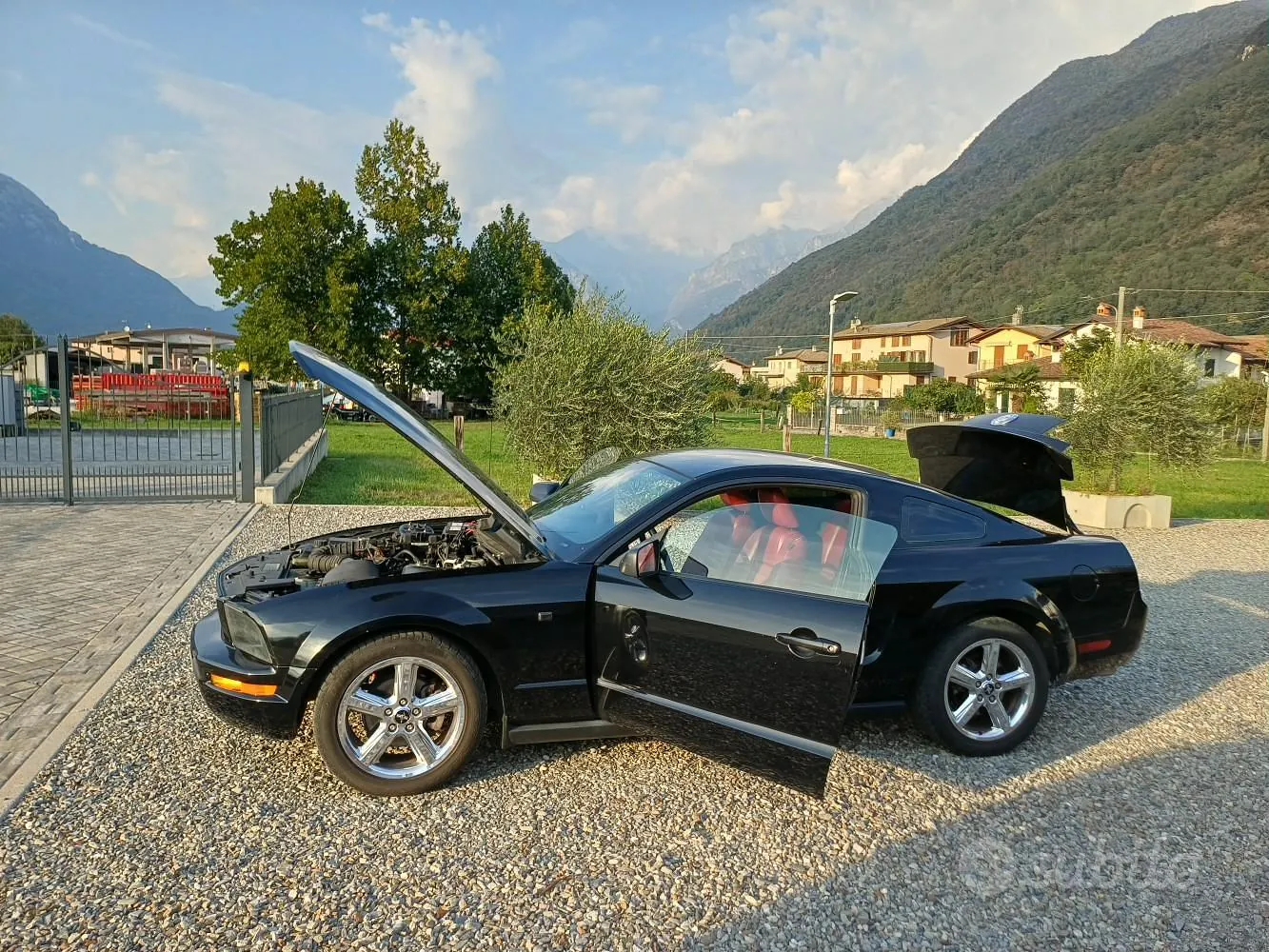Ford Mustang 2006 photo 5