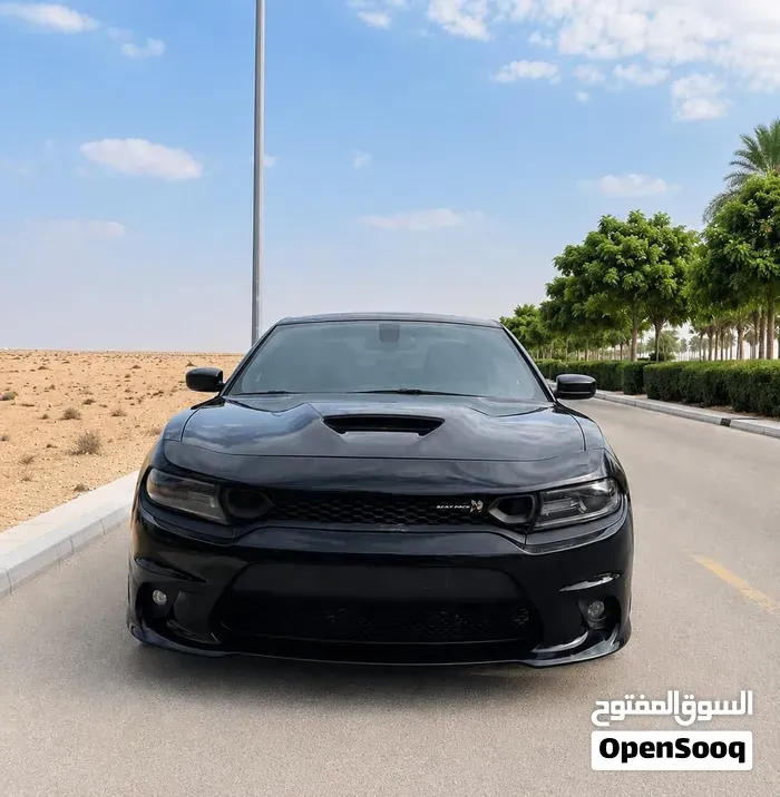 Dodge Charger 2021 photo 2