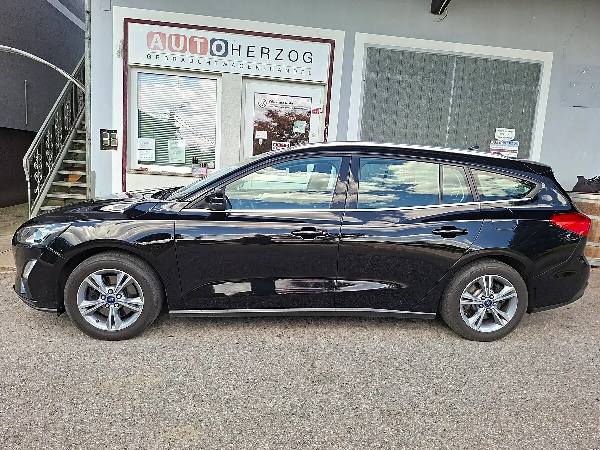 Ford Focus 2021 photo 2