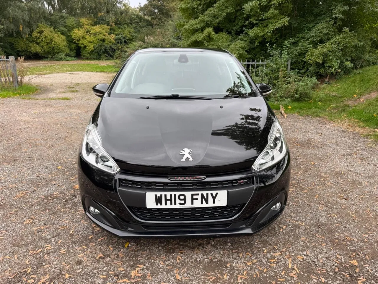 Peugeot 208 2019 photo 3
