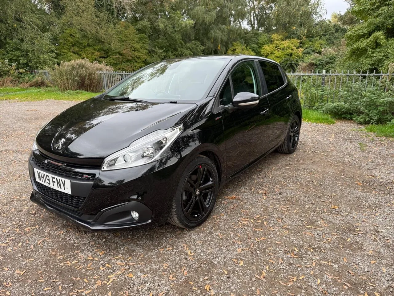 Peugeot 208 2019 photo 2