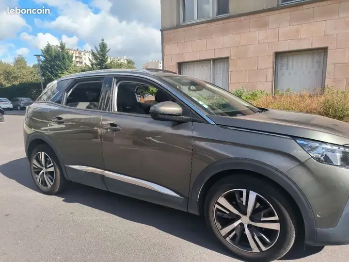 Peugeot 3008 2019 photo 2