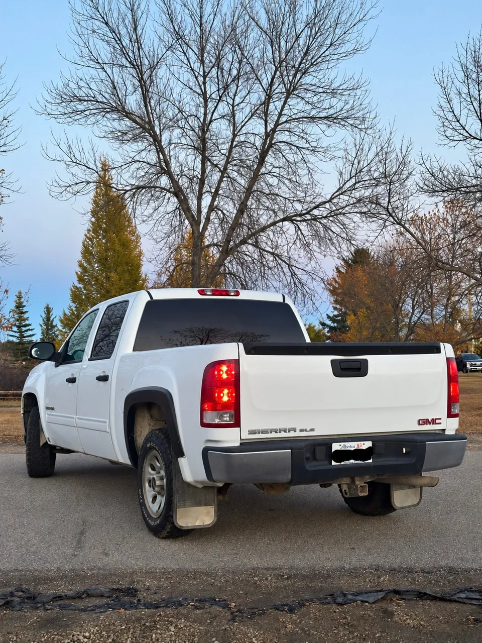 GMC Sierra 1500 2009 photo 5