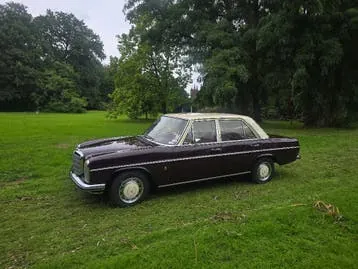 Mercedes-Benz 220D Strich-8