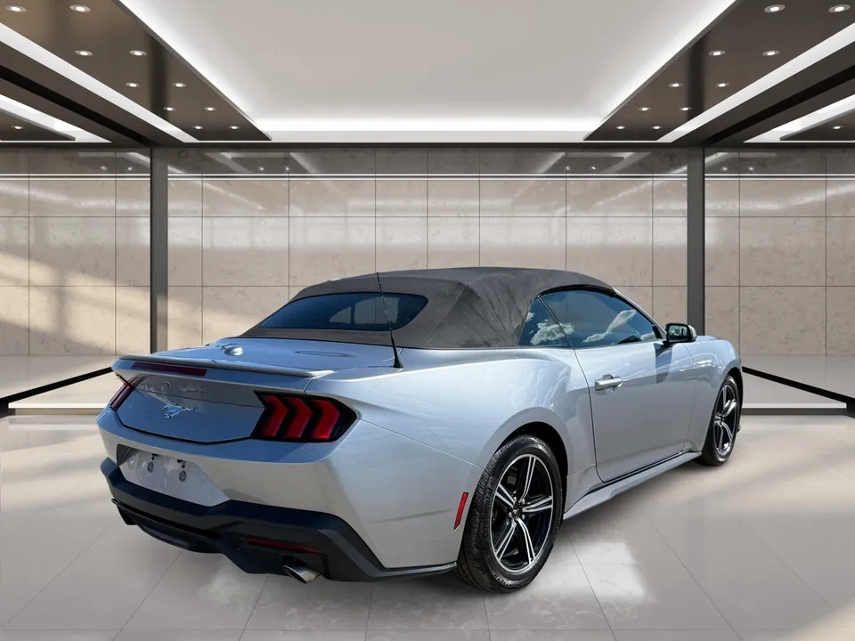 Ford Mustang 2025 photo 3