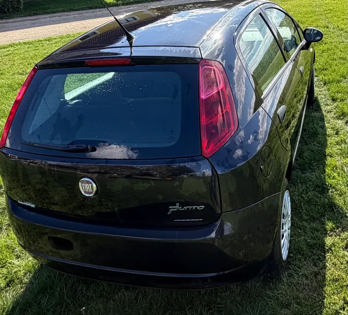 Fiat Grande Punto 2010 photo 3