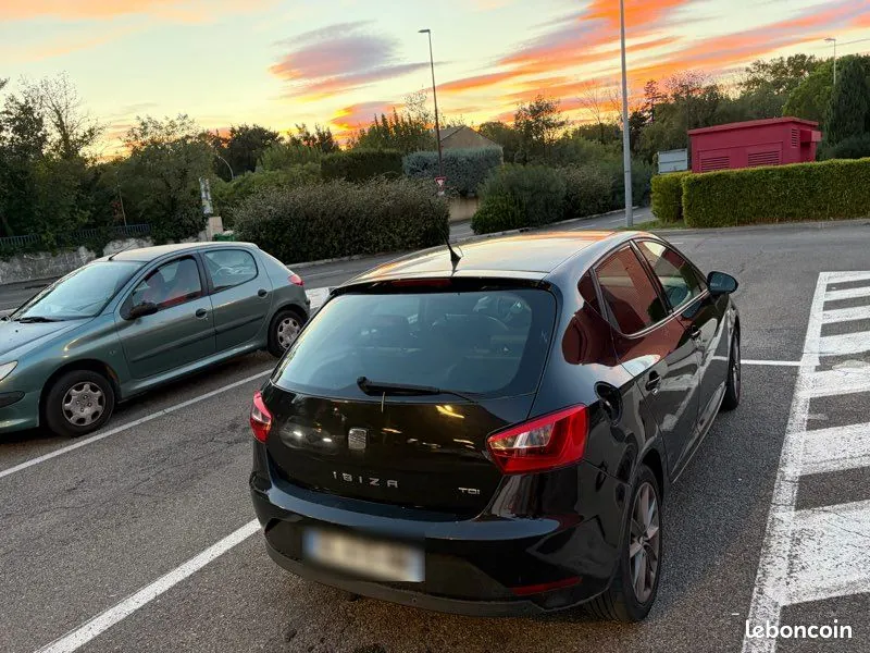 Seat Ibiza 2014 photo 3