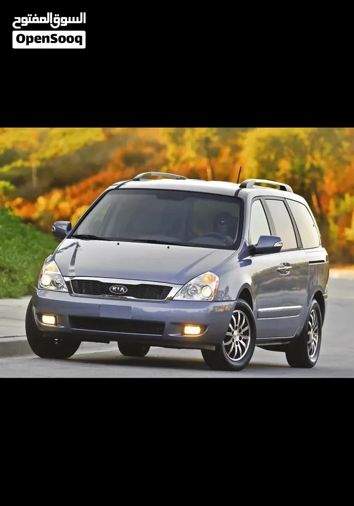 Kia Sedona 2009 photo 3