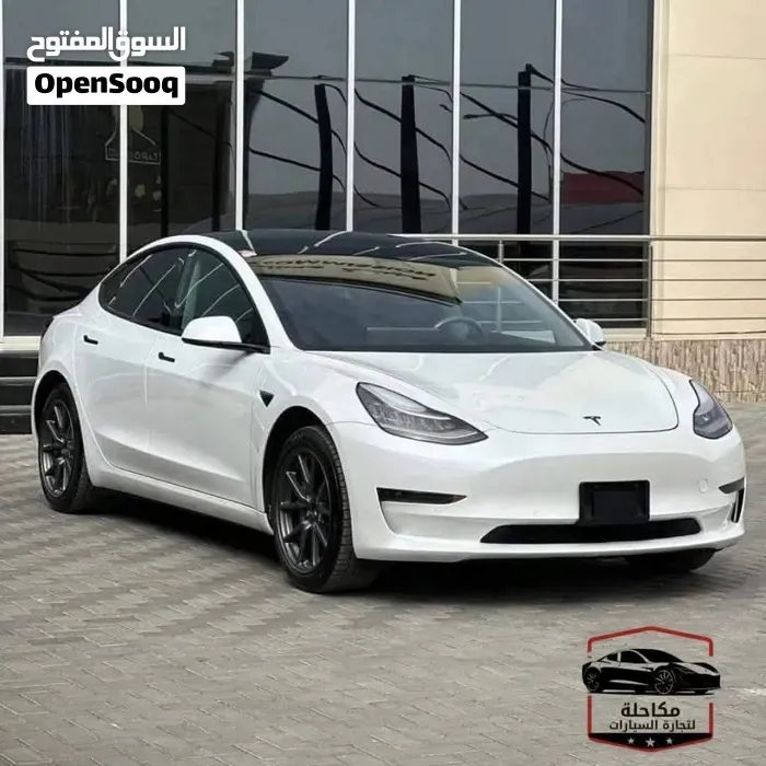 Tesla Model 3 2021 photo 2