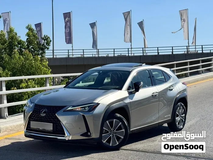 Lexus Ux 300H