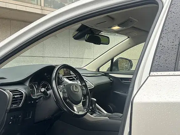 Lexus Nx300H 2019 photo 4