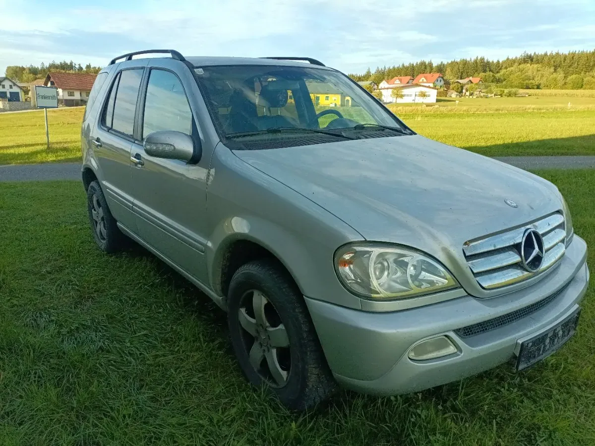 Mercedes-Benz M-Class 2002 photo 2