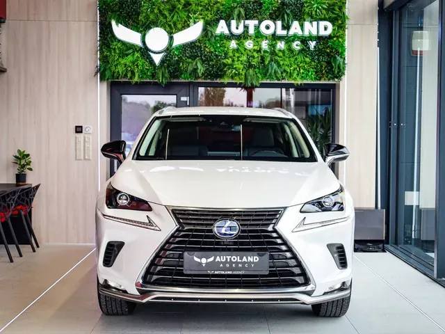 Lexus Nx 2021 photo 2
