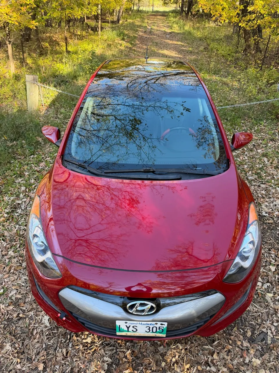 Hyundai Elantra 2014 photo 5