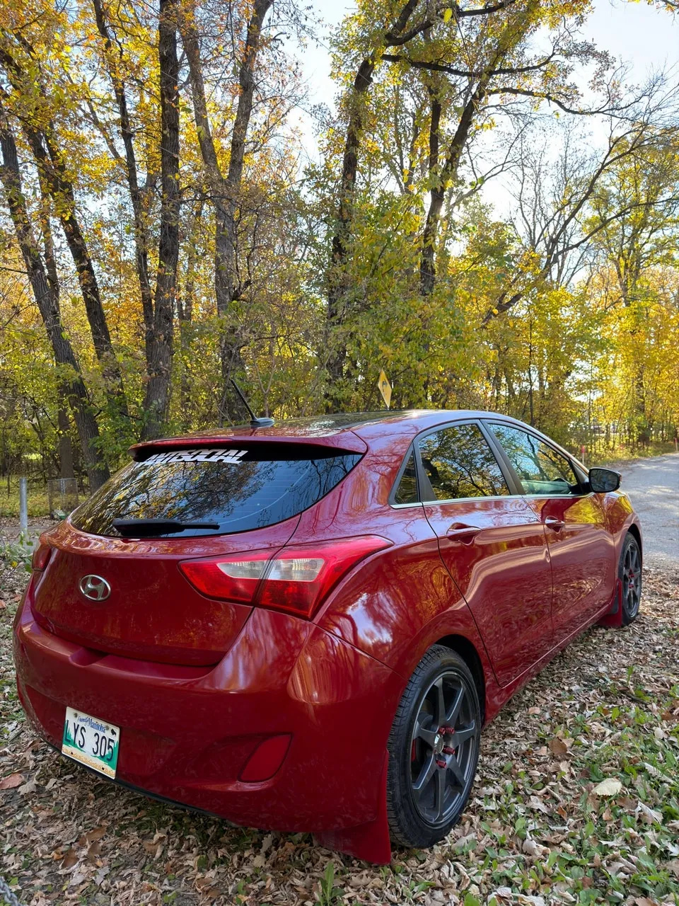 Hyundai Elantra 2014 photo 4