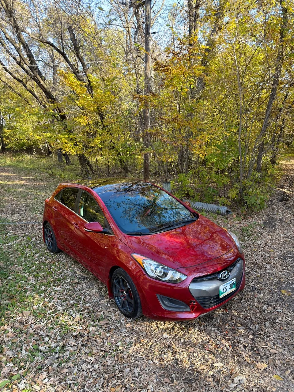 Hyundai Elantra 2014 photo 2
