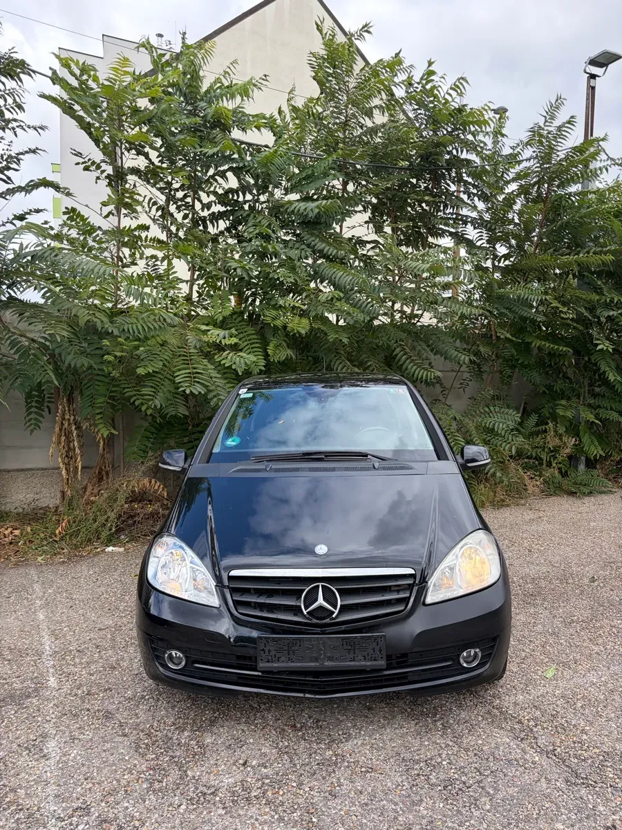 Mercedes-Benz A-Class 2009 photo 2