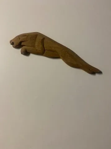 Jaguar Schildjes