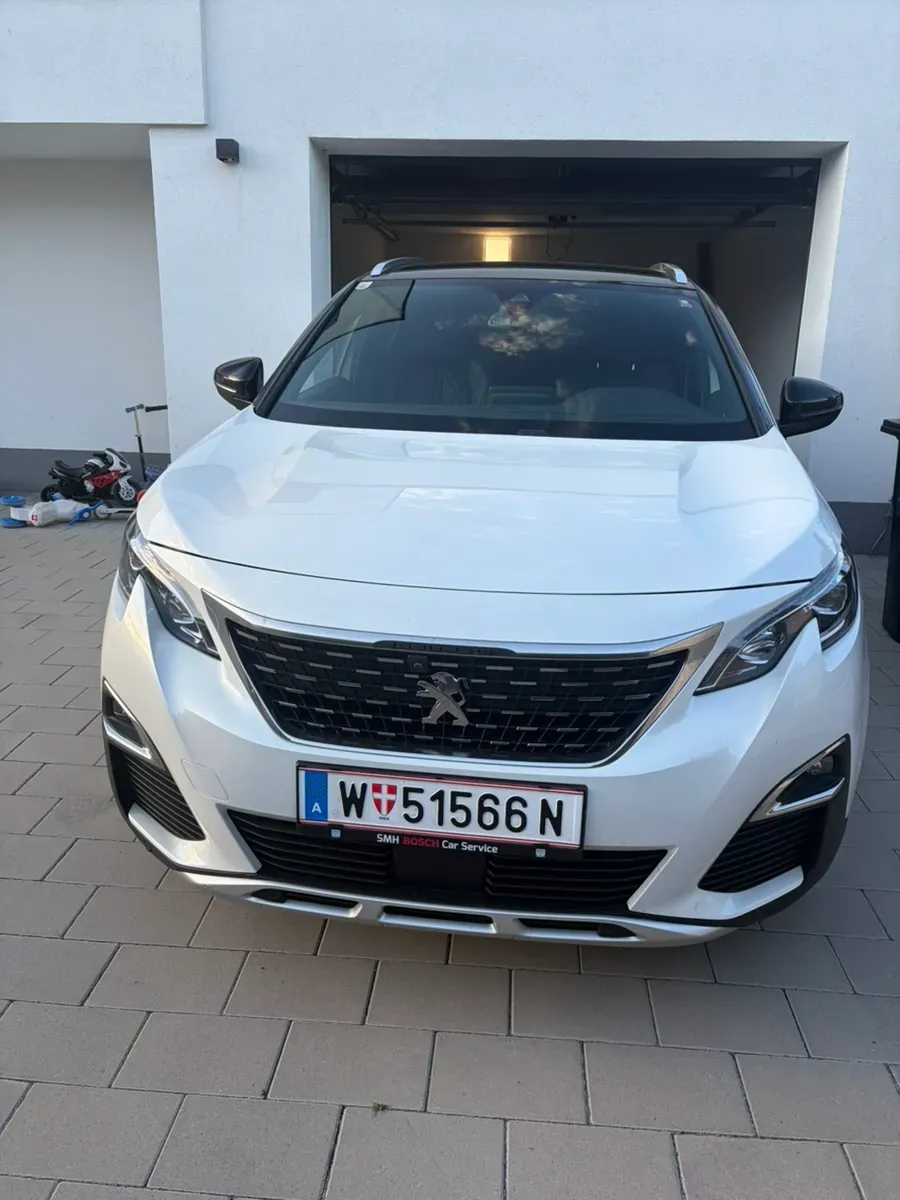 Peugeot 3008 2019 photo 3