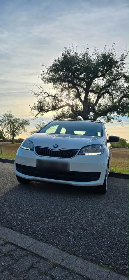 Skoda Citigo