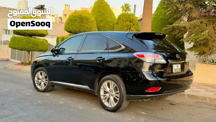 Lexus Rx 2010 photo 3