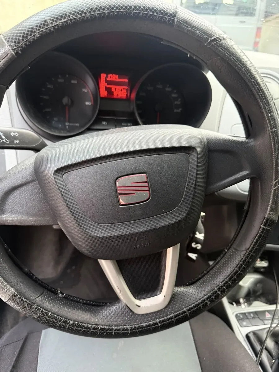 Seat Ibiza 2009 photo 2