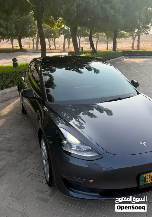 Tesla Model 3 2022 photo 3