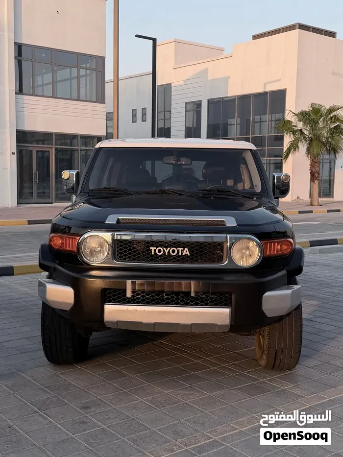 Toyota Fj Cruiser 2010 photo 2
