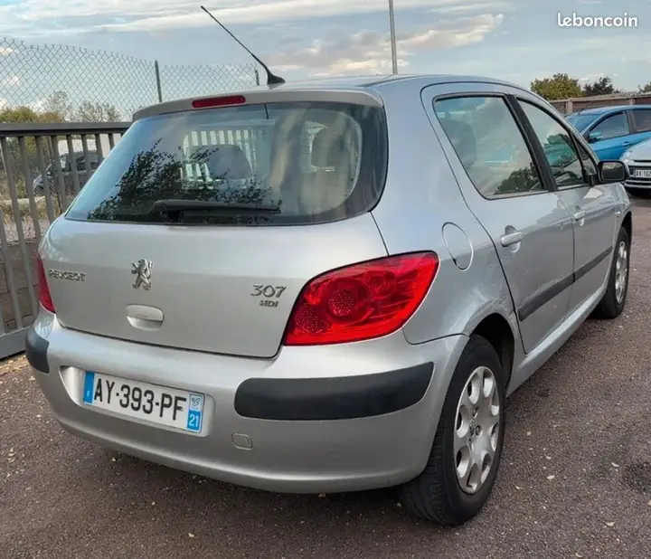 Peugeot 307 2007 photo 2