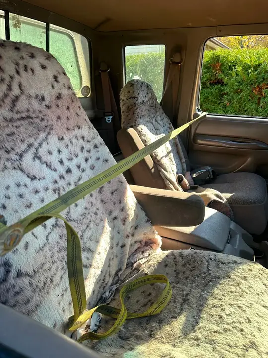 Ford F250 1993 photo 3