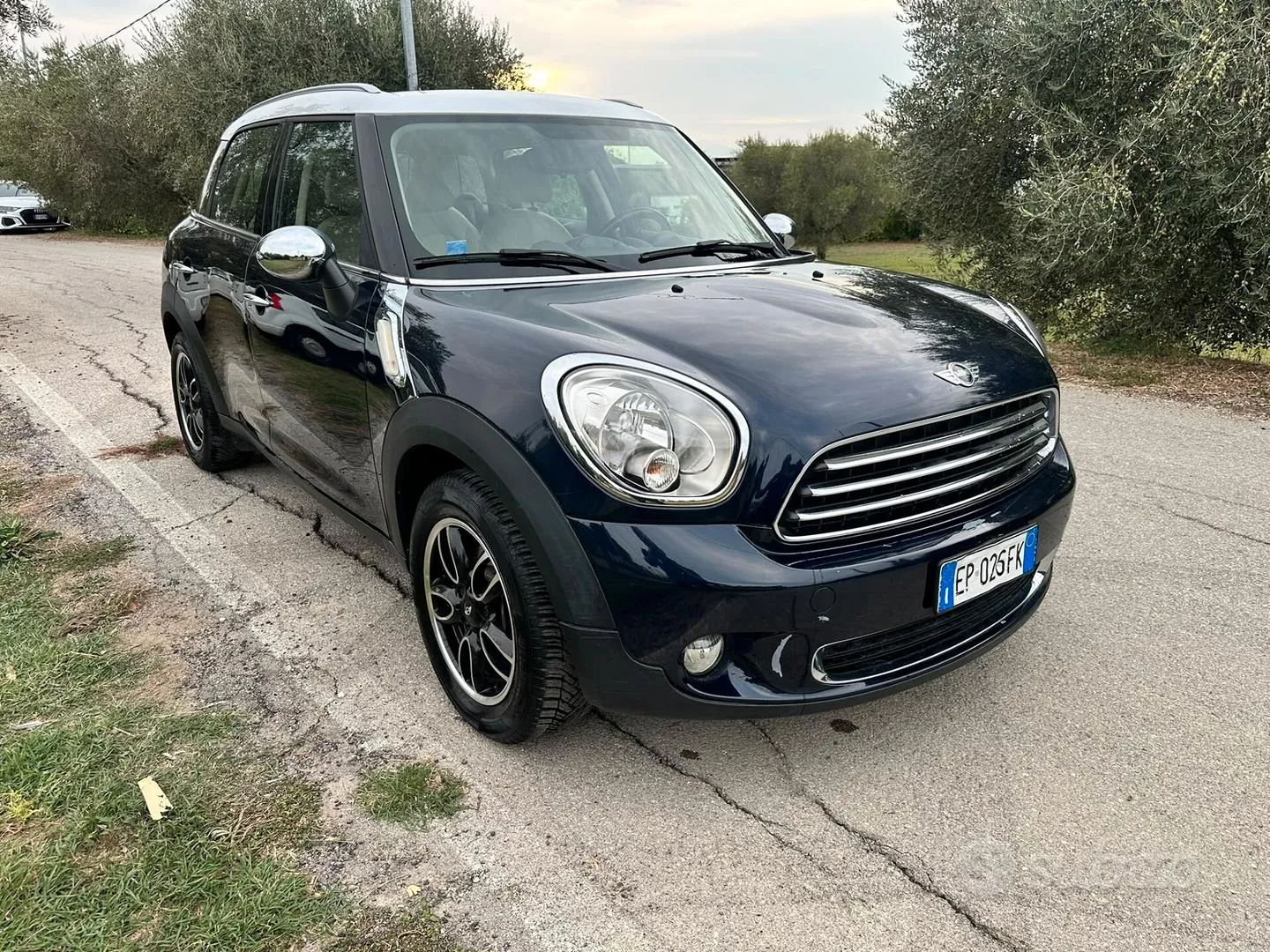 Mini Mini Countryman