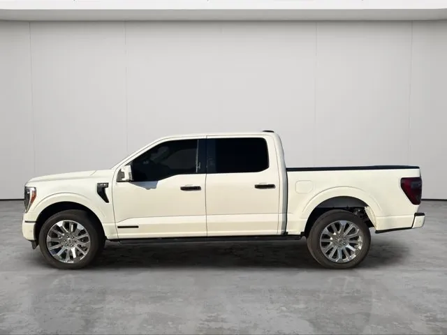 Ford F-150 2023 photo 2