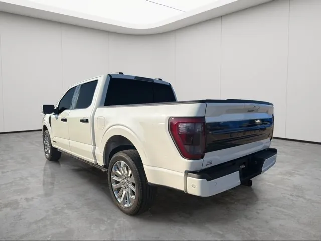 Ford F-150 2023 photo 3