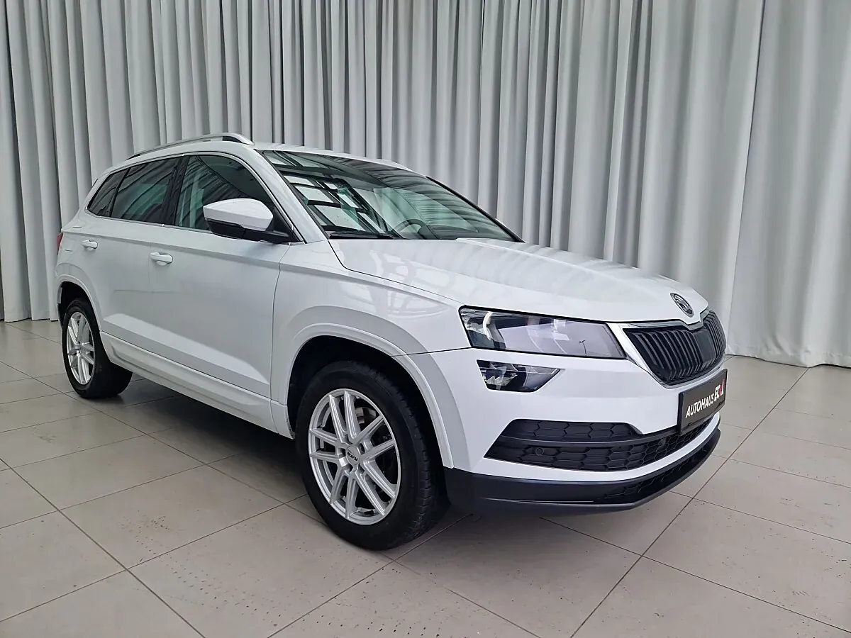 Skoda Karoq 2019 photo 3