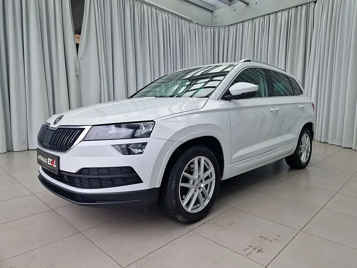 Skoda Karoq 2019 photo 2