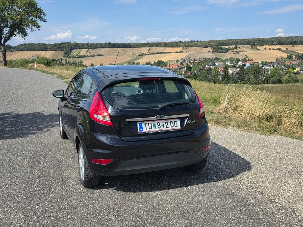 Ford Fiesta 2010 photo 3