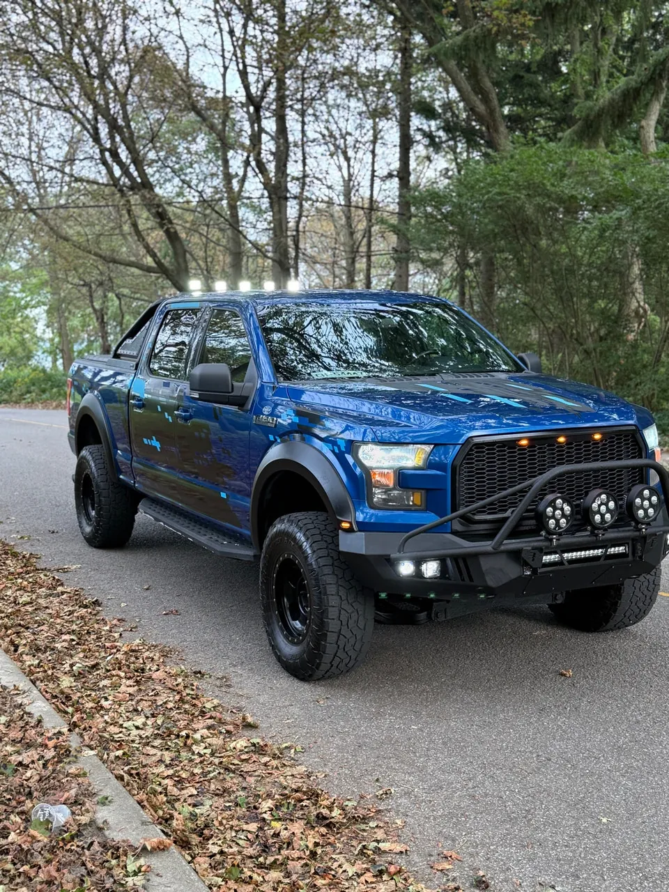 Ford F-150 2017 photo 2