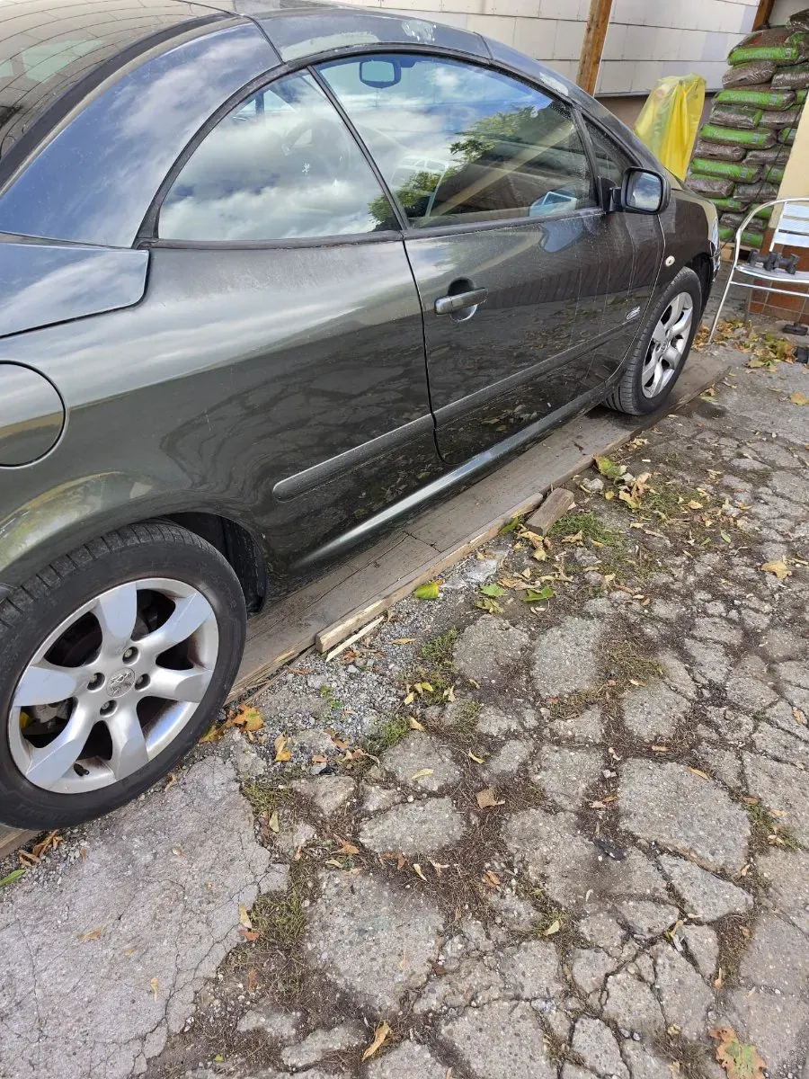 Peugeot 307 2006 photo 2
