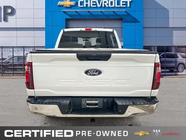Ford F-150 2025 photo 5
