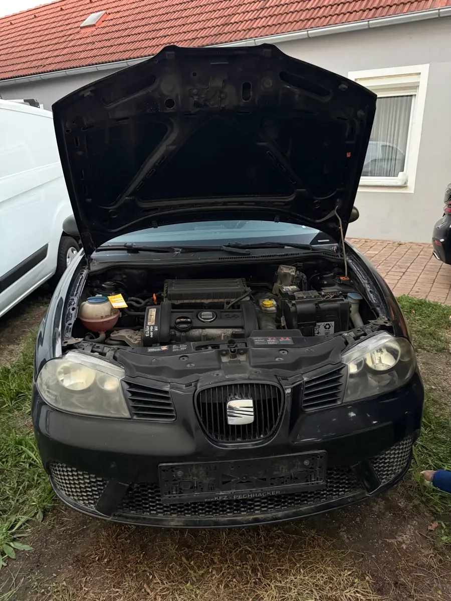 Seat Ibiza 2007 photo 2