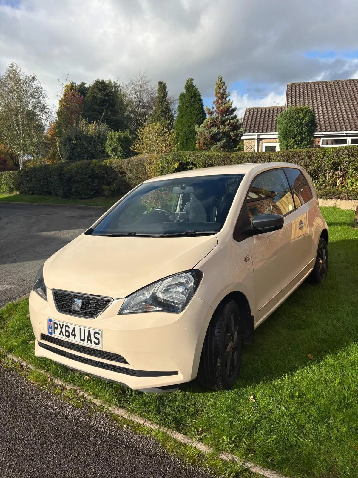 Seat Mii