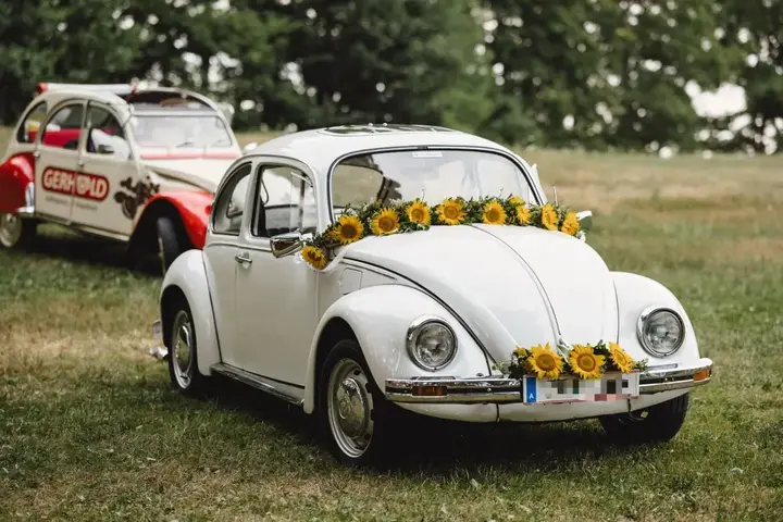 Volkswagen Käfer