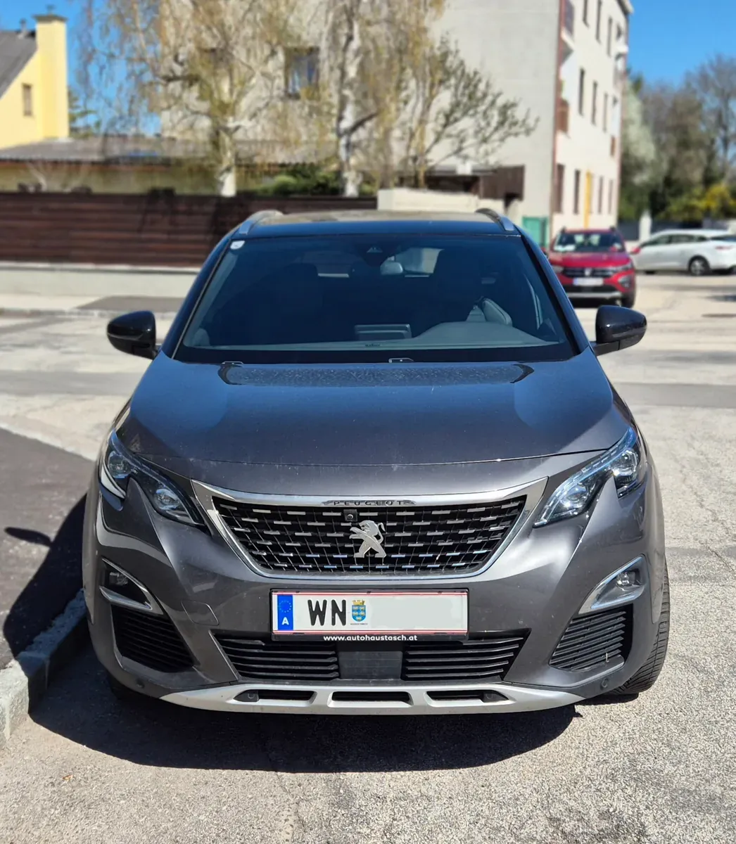 Peugeot 3008 2019 photo 2