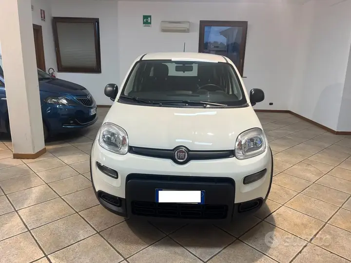 Fiat Panda 2023 photo 2