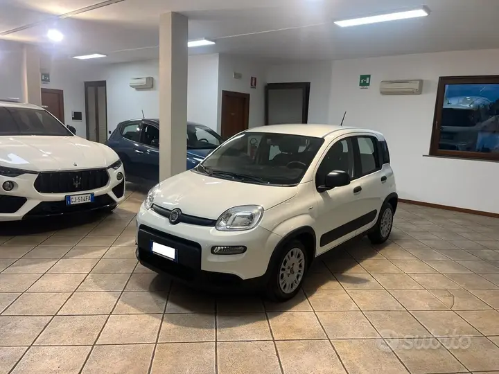 Fiat Panda 2023 photo 3