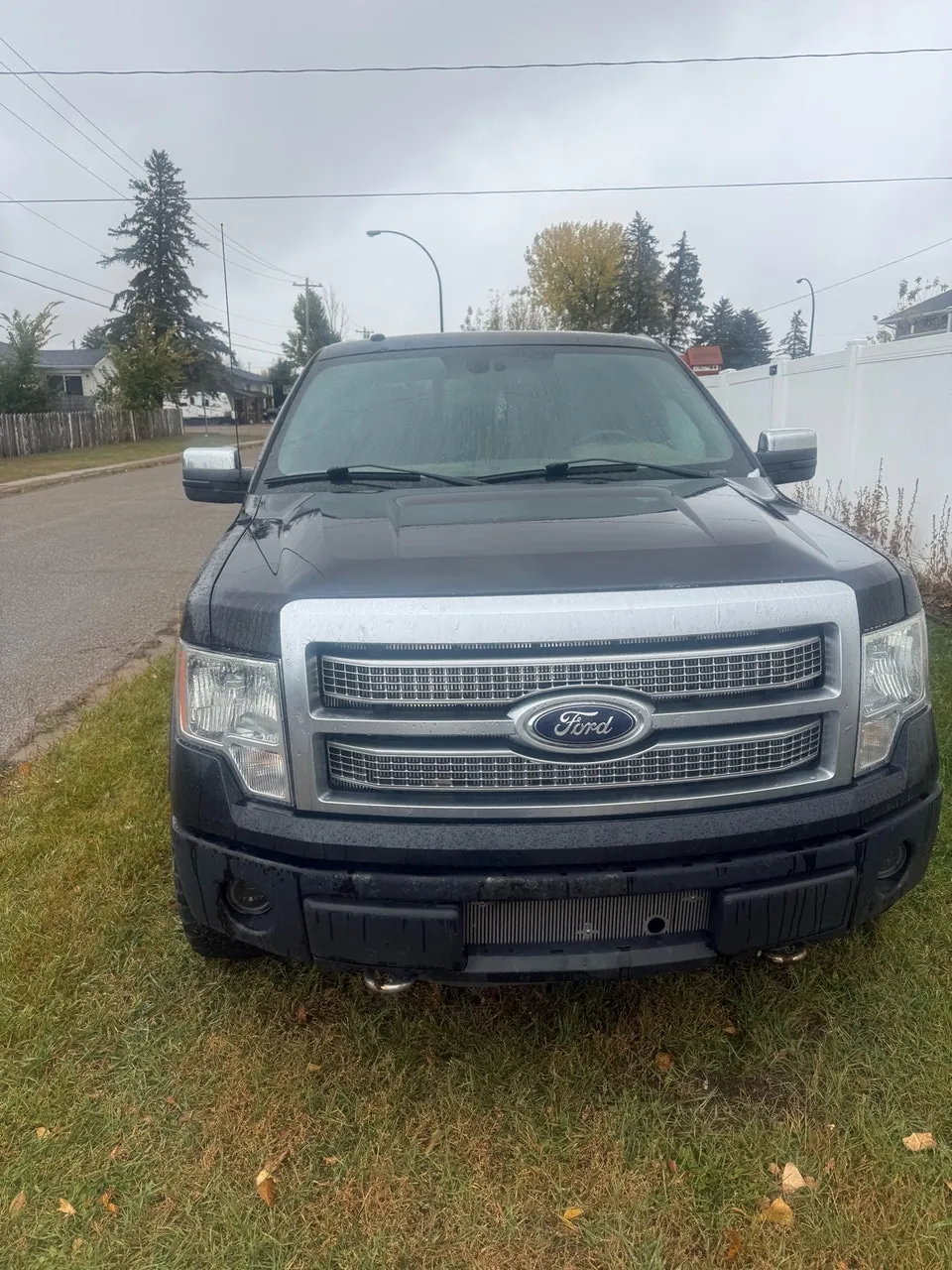 Ford F-150 2012 photo 3